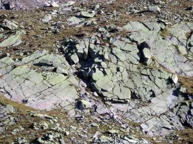 İsviçre 'nin Alp dağlarındaki Silvretta Alpleri ve Albula Alpleri' nin kayaları, Davos Kantonu, İsviçre (Kanton Graubuenden, Schweiz))