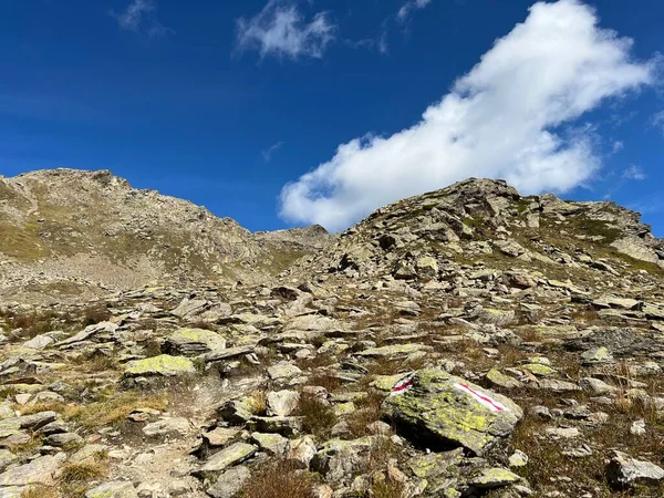 Rocas Piedras Los Alpes Silvretta Albula Alpes Macizo Los Alpes —  Fotos de Stock