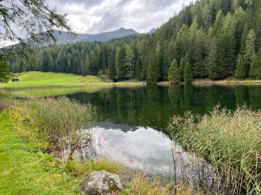 Alp dağı Schwarzsee Gölü veya Davos ve Klosters turizm kasabaları arasındaki Kara Göl - İsviçre Grison Kantonu, İsviçre (Kanton Graubuenden, Schweiz)