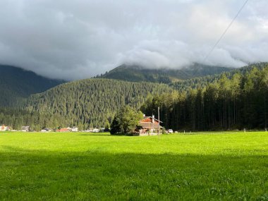 Davos şehrinin yamaçlarındaki muhteşem kozalaklı ormanlar - İsviçre 'nin Grison Kantonu (Kanton Graubuenden, Schweiz)
