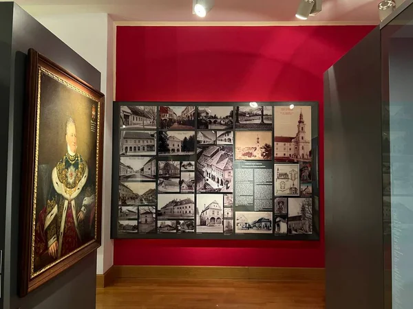 Museo Municipal Vukovar Eslavonia Croacia Stadtmuseum Vukovar Slawonien Kroatien Gradski — Foto de Stock