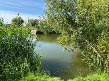 Kaisevac Gölü / Grabovo Barajı veya Grabovo-Kaisevac göleti - Vukovar, Hırvatistan (Jezero Kaisevac / akumulacija Grabovo ili ribnjak Grabovo-Kaisevac - Srijem, Hrvatska)