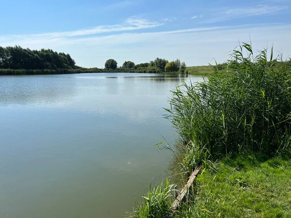 Kaisevac Lake Grabovo Reservoir Grabovo Kaisevac Pond Vukovar Croatia Jezero — ストック写真