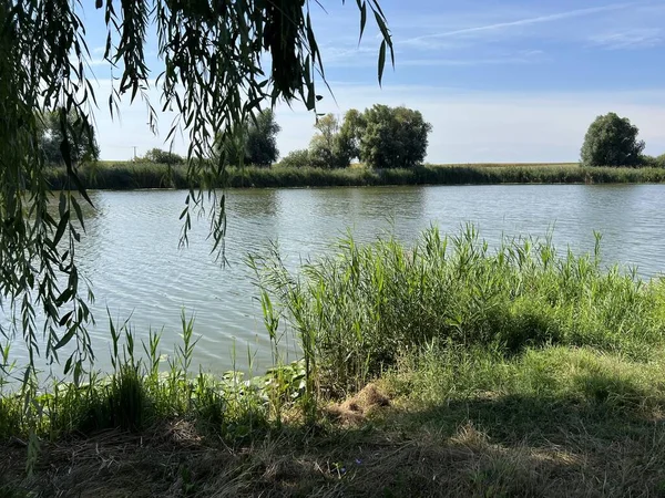 Kaisevac Lake Grabovo Reservoir Grabovo Kaisevac Pond Vukovar Croatia Jezero — ストック写真