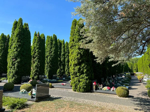 Cementerio Conmemorativo Las Víctimas Guerra Patria Vukovar Croacia Memorijalno Groblje —  Fotos de Stock