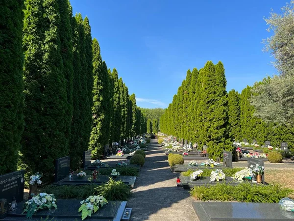 Cementerio Conmemorativo Las Víctimas Guerra Patria Vukovar Croacia Memorijalno Groblje —  Fotos de Stock