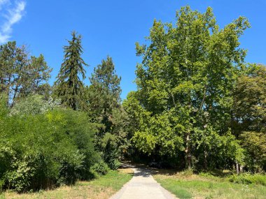 Tuna Nehri kıyısında ve Vucedol Kültür Müzesi 'nin yanında park, Vukovar - Hırvatistan (Park uz rijeku Dunav I ported gureja vucedolske kulture, Vukovar - Srijem, Hrvatska)