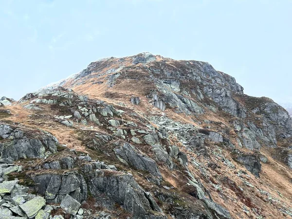 Скалы Камни Осенью Швейцарской Альпийской Среде Горной Местности Санкт Готтардпасс — стоковое фото