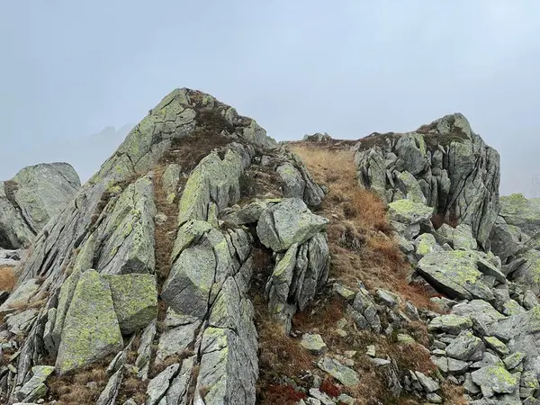 Rocas Piedras Entorno Alpino Suizo Otoño Zona Montañosa San Gotardo — Foto de Stock