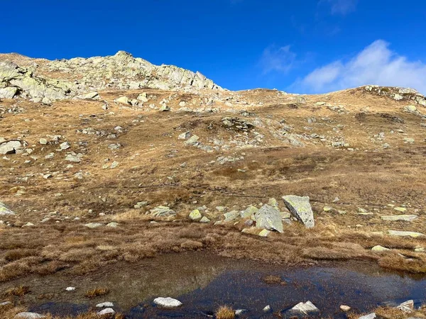 Ambiente Otoñal Los Altos Pastos Alpinos Suizos Zona Montañosa Del —  Fotos de Stock