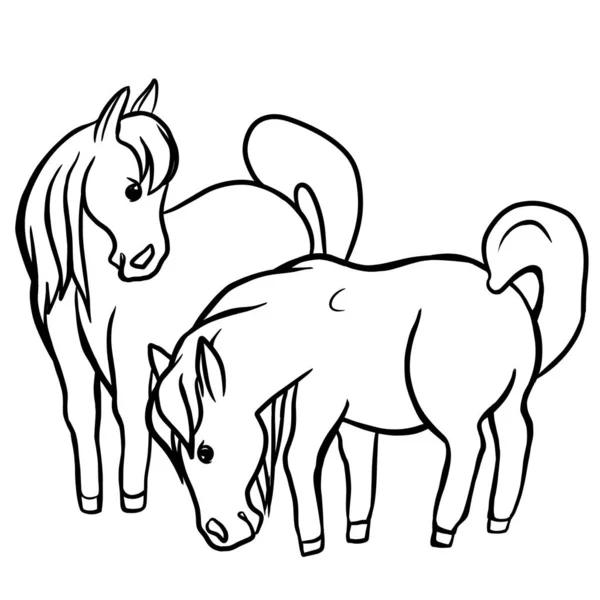 Horses Graze Meadow Pair Horses Ponies Fabulous Cartoon Characters Drawing — Fotografia de Stock