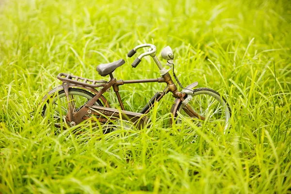 Leksak cykel på ett gräs — Stockfoto