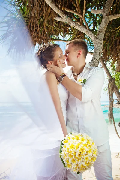 Bruiloft onder palmboom — Stockfoto