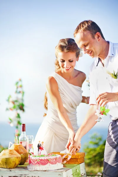Nygifta skära bröllopstårtan (mjukt fokus på ögonen på bruden och brudgummen) — Stockfoto