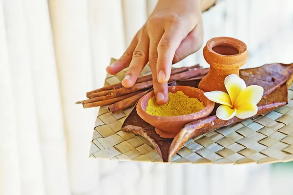 Traditional ayurveda and spa ingredients (soft focus on the clay) — Stock Photo, Image