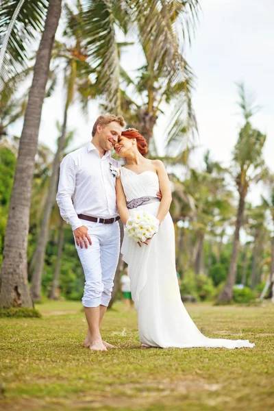 Wedding in the palm forest — Stock Photo, Image