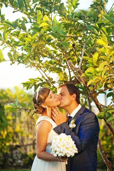 Casamento no parque ou na floresta — Fotografia de Stock