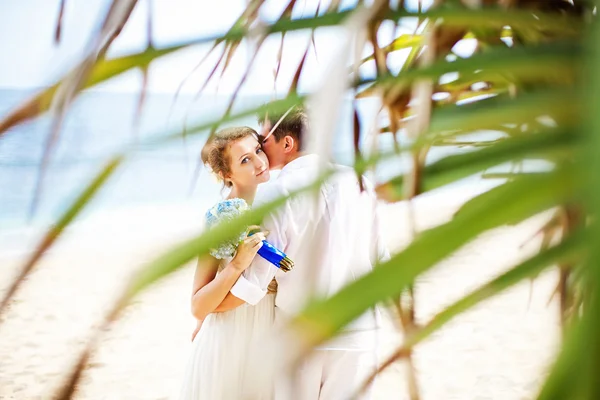 Mariage sur une île exotique — Photo