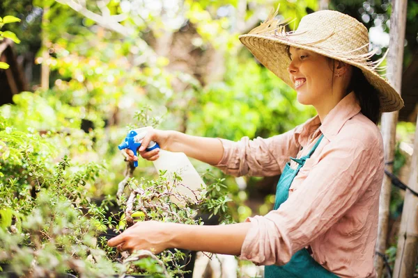 Bonsai ile genç bahçıvan — Stok fotoğraf