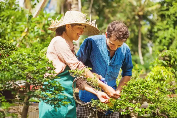 Bonsai ile genç bahçıvanlar bir kaç — Stok fotoğraf