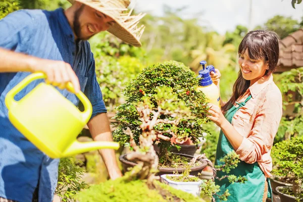 Pareja de jóvenes jardineros con bonsái —  Fotos de Stock