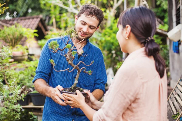 Par ung trädgårdsmästare ger potten med bonsai — Stockfoto