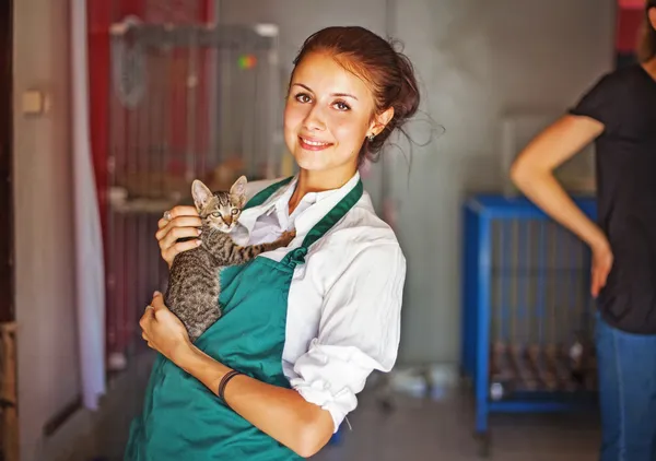 動物の避難所での女性 — ストック写真