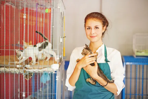 Woman in animal shelter — Stock Photo, Image