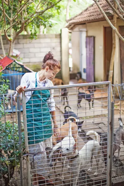 動物の避難所での女性 — ストック写真