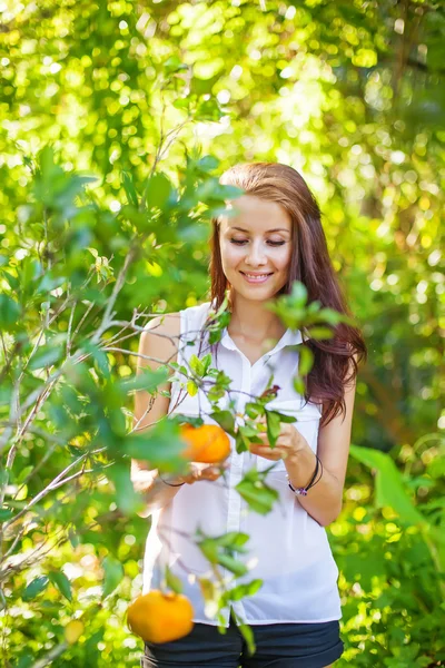 Woman picking oranges — Stock Photo, Image