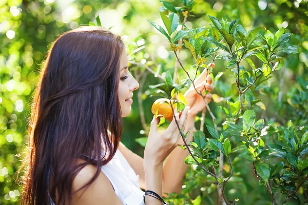 Vrouw picking sinaasappelen — Stockfoto