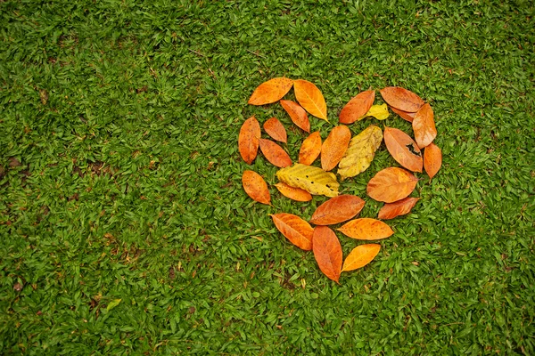 Heart from leaves — Stock Photo, Image