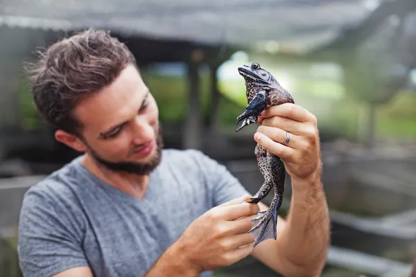 Homme tenant une grosse grenouille noire dans les mains — Photo