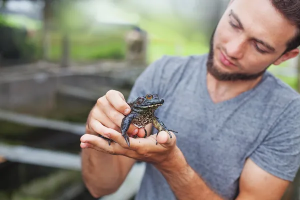 Homme tenant une grosse grenouille noire dans les mains — Photo