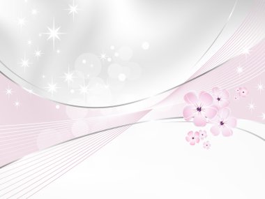 çiçek background - beyaz ve pembe çiçek tasarım