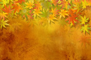 sonbahar yaprakları - sonbahar arka plan