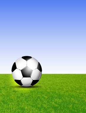 futbol topu çimlerin üzerinde