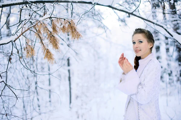 Beautiful girl in a winter forest — Stock Photo, Image