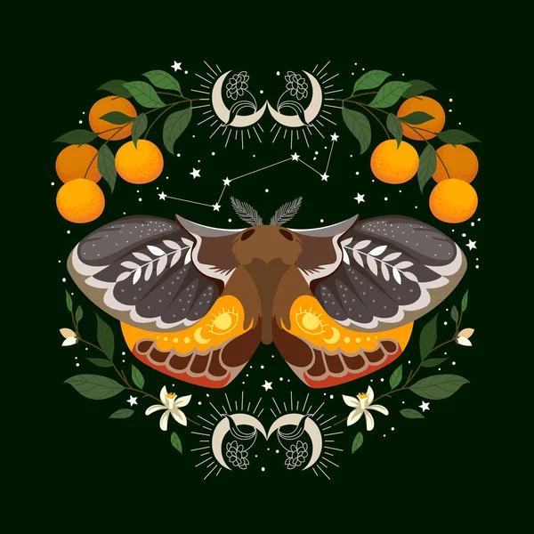 夜の天空の蛾と花のイラスト — ストックベクタ
