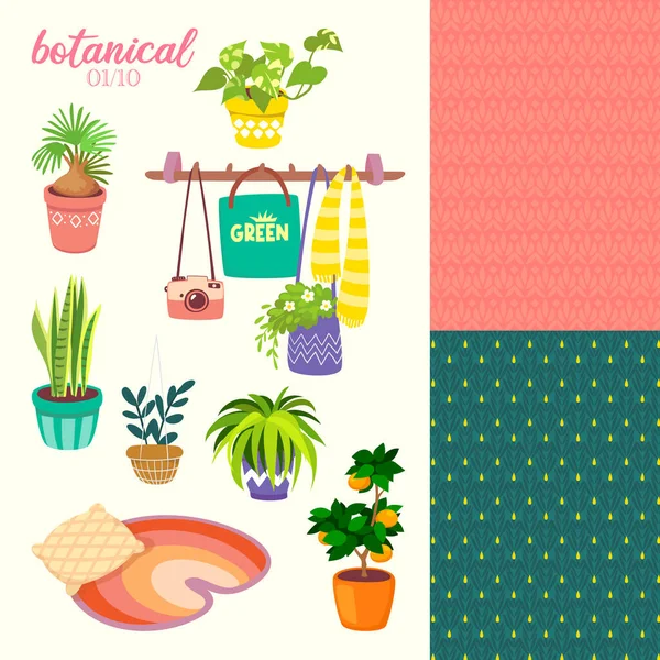 Ilustração Plantas Botânicas Com Interior —  Vetores de Stock