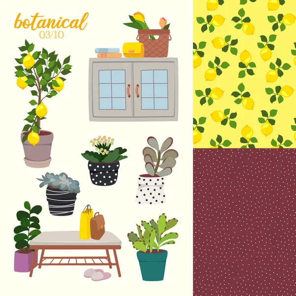 Ilustración Plantas Botánicas Con Interior — Archivo Imágenes Vectoriales
