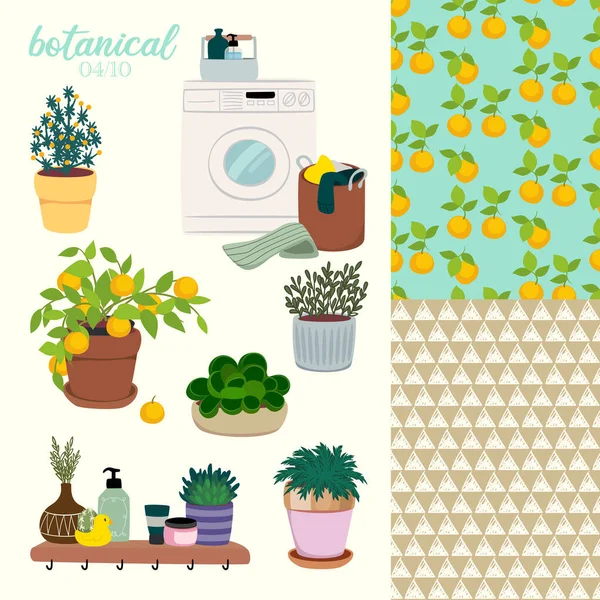 Ilustração Plantas Botânicas Com Interior —  Vetores de Stock