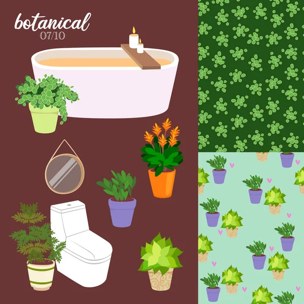 Ilustração Plantas Botânicas Com Interior —  Vetores de Stock