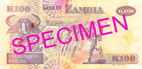 100 Zambia Kwacha Bank Note Reverse Specimen — Stockfoto