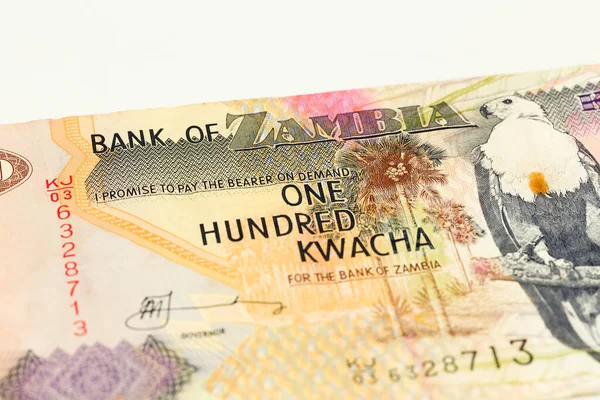 Szczegół Banknotu 100 Zambia Kwacha — Zdjęcie stockowe