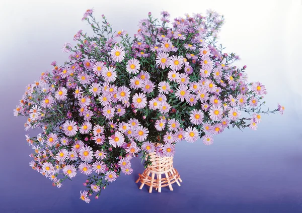 Mooie bloemen in een glazen vaas — Stockfoto