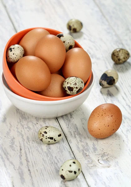 Kuře a křepelčí vejce — Stock fotografie