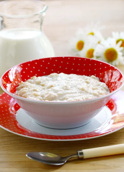 Porridge — Stock Photo, Image