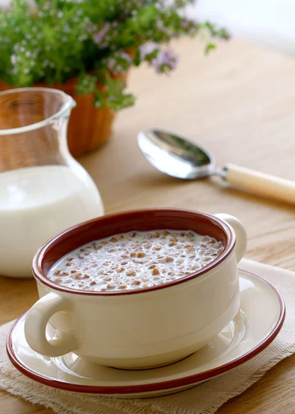 Porridge di grano saraceno con latte — Foto Stock