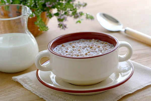 Buckwheat porridge with milk — Stock Photo, Image